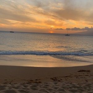 Meet your Posher, Drew